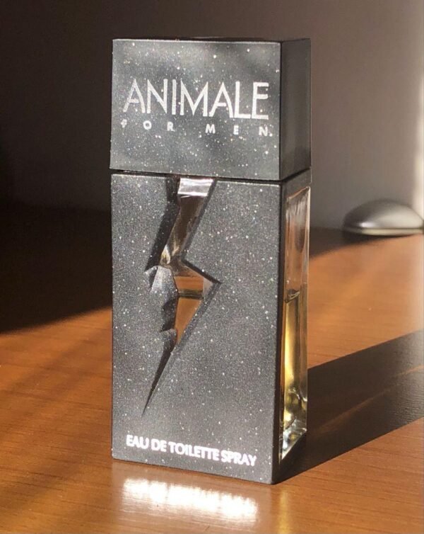 29012025200708631animale-3.jpeg