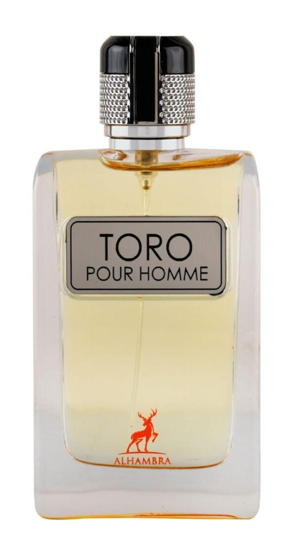 31012025180646687toro-pour-homme-segunda-foto.jpeg