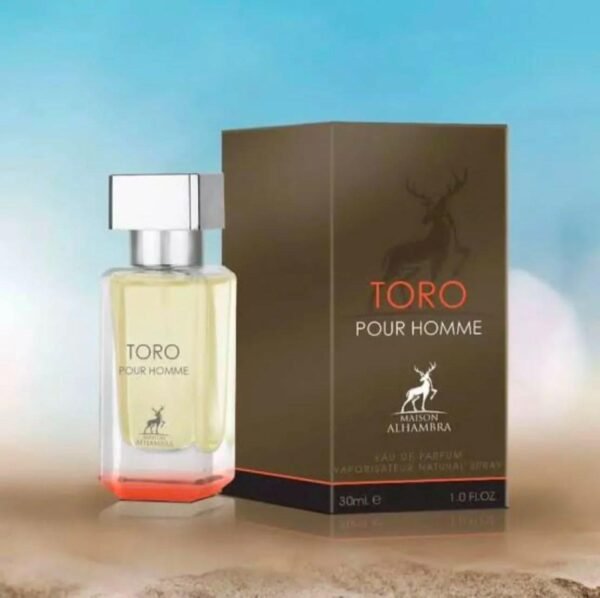 31012025180657844toro-pour-homme-2.jpeg