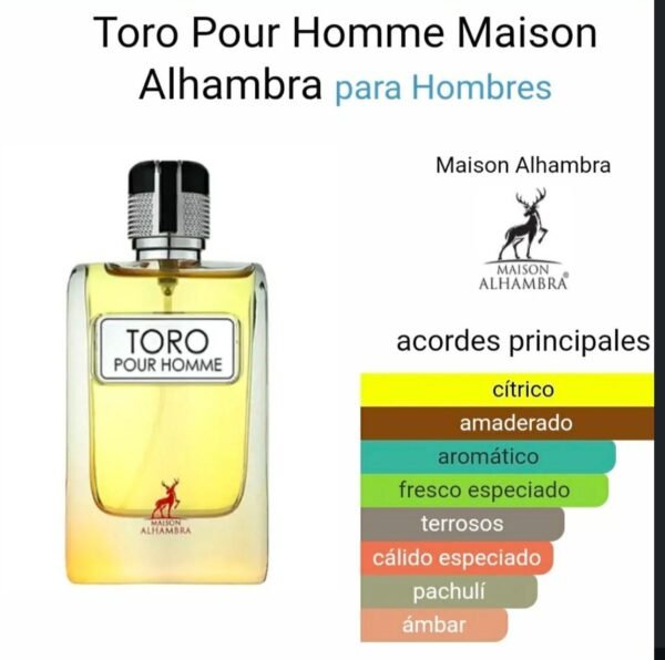 31012025180704917toro-pour-homme-4.jpeg