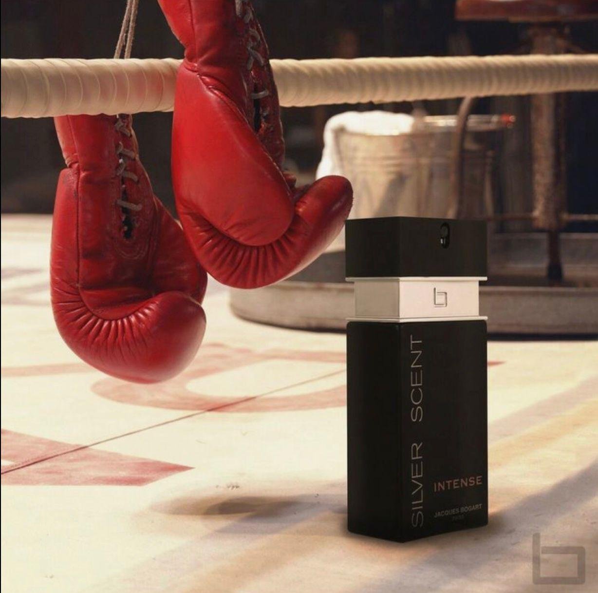 24092024183650115silve-scent-4.jpg 24092024183650115silve-scent-4.jpg