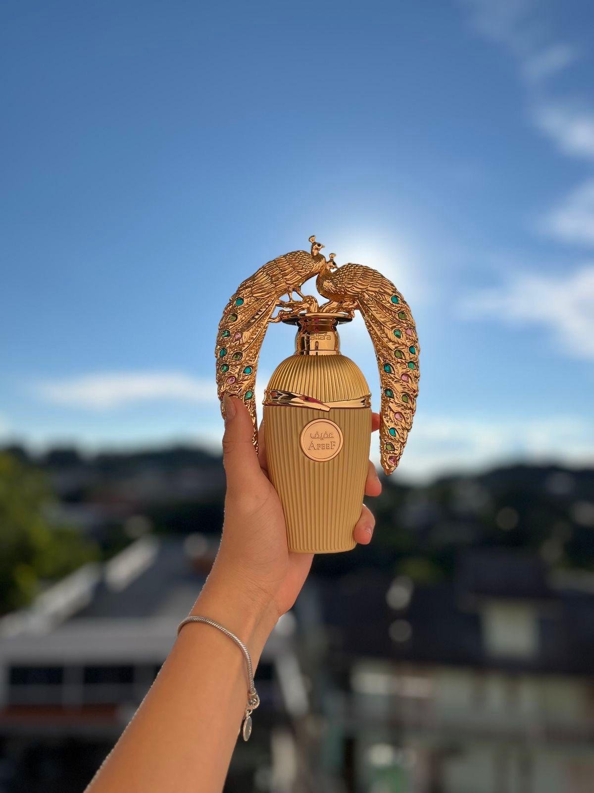 24092025175858825whatsapp-image-2025-09-24-at-14-53-24.jpeg 24092025175858825whatsapp-image-2025-09-24-at-14-53-24.jpeg